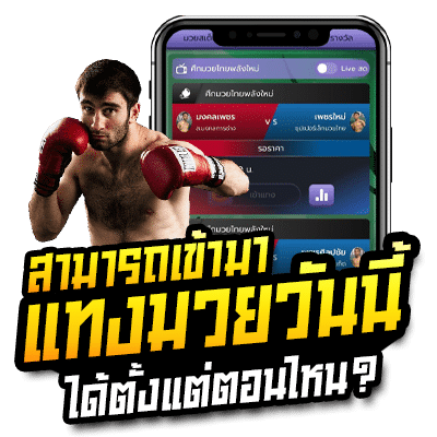 วิธีดูโปรแกรมมวยและเริ่มเดิมพัน